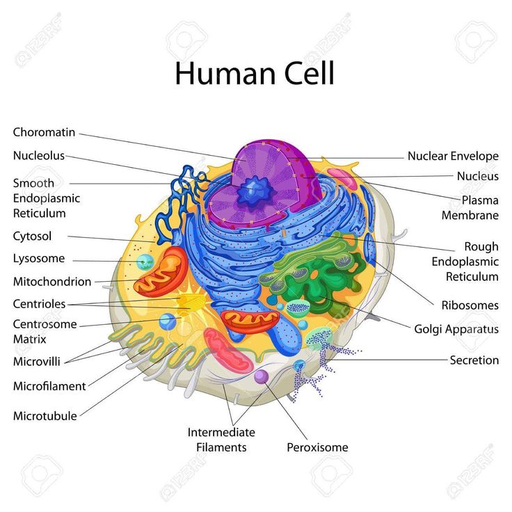 Biology