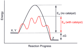 Catalysis