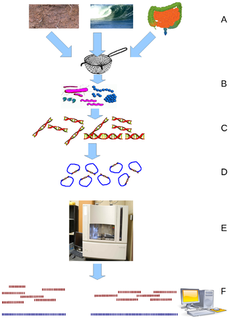 Metagenomics