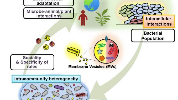 Microbial ecology