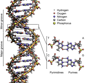 Molecular biology